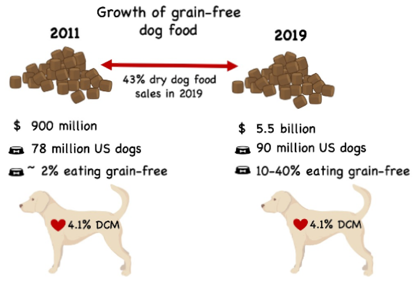 Dog foods not linked to dcm hotsell