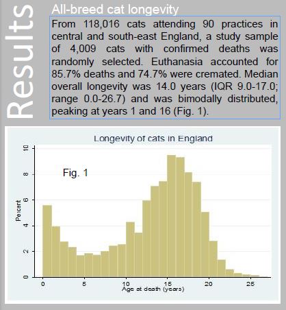 Longevity Causes Of Death In Pet Cats The Skeptvet,Drink Recipes Non Alcoholic